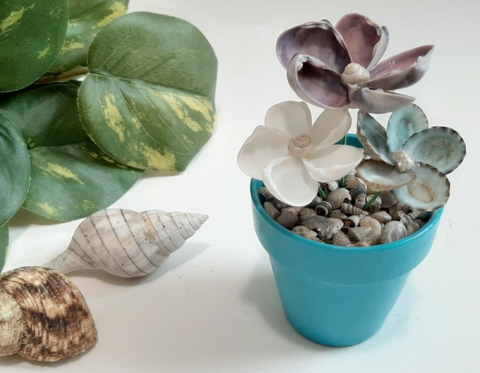 Seashell Flower Pots