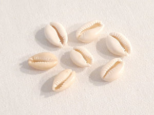 7 Cowrie Seashells for making the Crocheted Seashell Choker Necklace